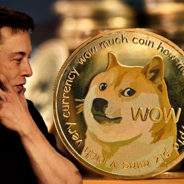 Is Elon Musk Shopping for Dogecoin? $45 Million Whale Purchase Sparks Hypothesis…