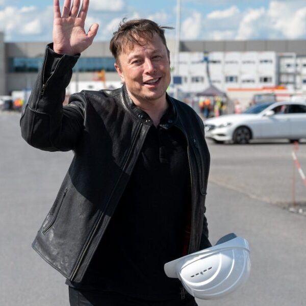 Elon Musk delays India go to as Tesla, SpaceX eye enormous market