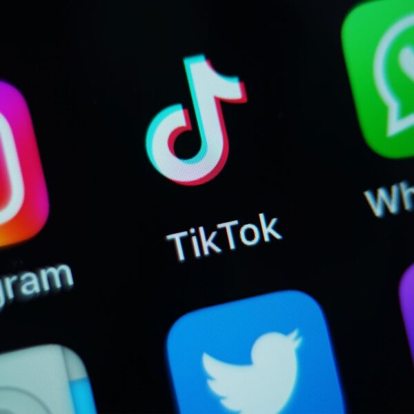 TikTok is bringing its devoted STEM feed to Europe
