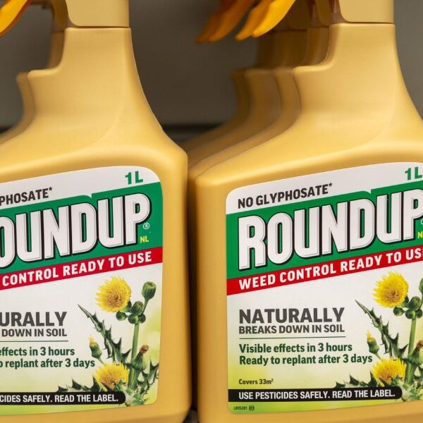 Bayer’s $1.5 billion Roundup verdict slashed by greater than 60%