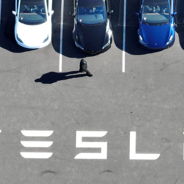 Tesla income drop 55%, firm says EV gross sales ‘below strain’ from…