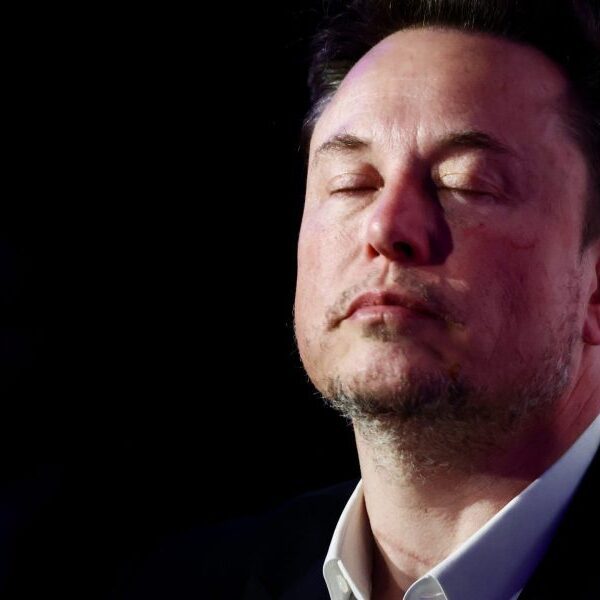 Elon Musk on micromanaging: ‘If you’re making an attempt to make an…