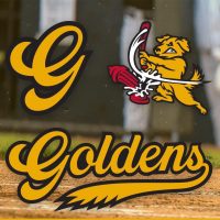 Thunder honor bat canines with Goldens alternate – SportsLogos.Web Information