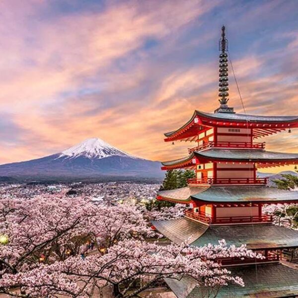 Japan month-to-month guests hit a document excessive in March, crosses 3 million…