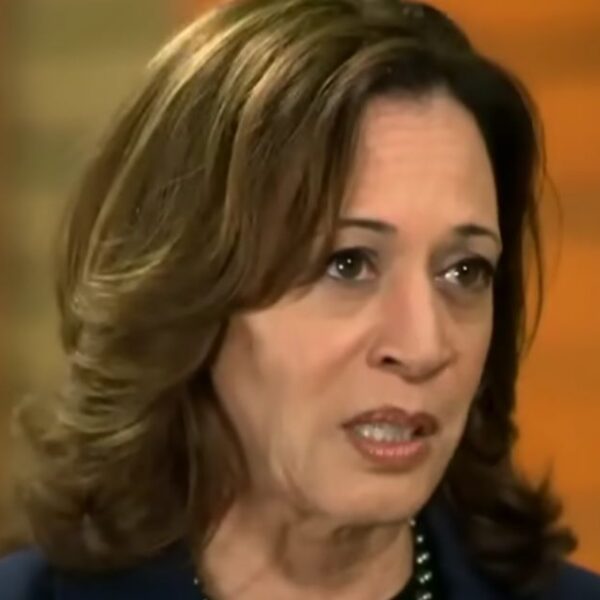 Armed Secret Service Agent Assigned to Kamala Harris Will get Into Struggle…