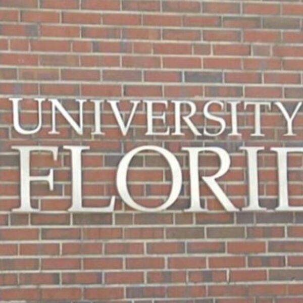 College of Florida Does not Mess Round — Units Clear Laws and…