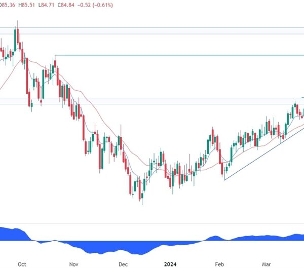 WTI Crude Oil Technical Evaluation