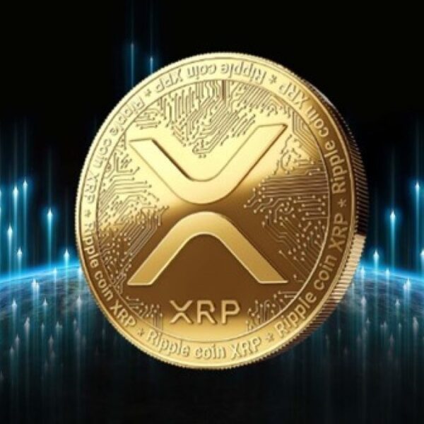 XRP Worth Prepared To Surge: Crypto Knowledgeable Says XRP To Expertise Provide…