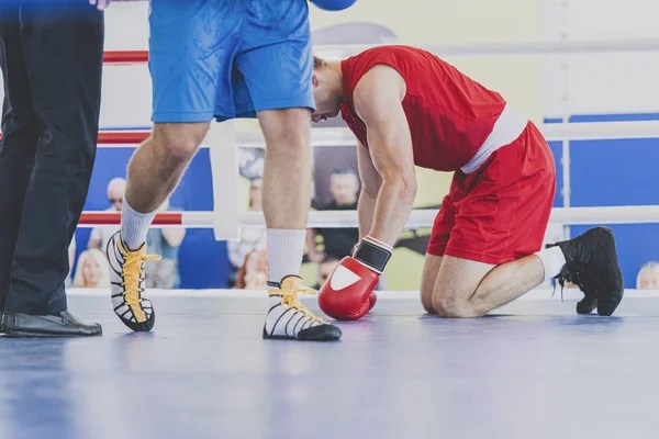 Coinbase Scores Knockout! Courtroom Says Crypto Gross sales Aren’t Securities
