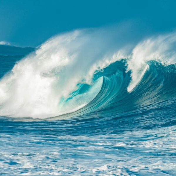 Is This The Bitcoin Tidal Wave? BlackRock ETF IBIT Leads Influx Cost