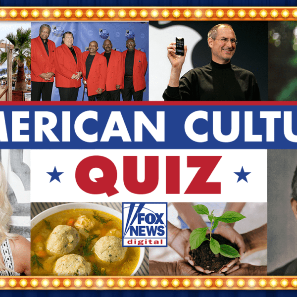 American Tradition Quiz: From pop performers to fashionable pups, how properly have…