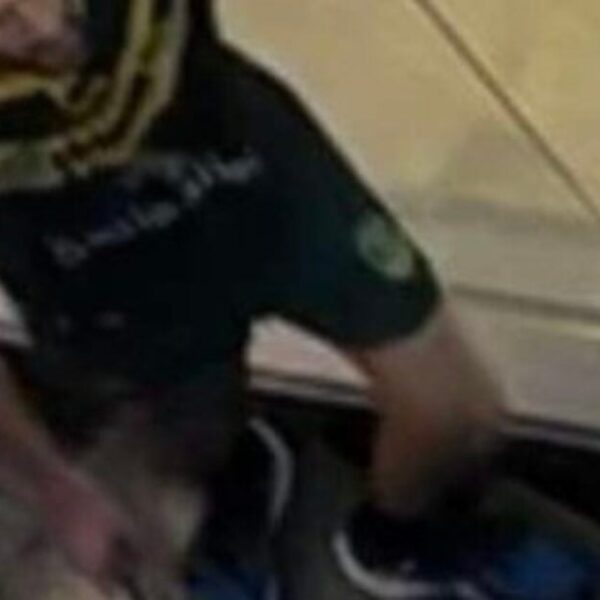 Mass Stabbing at Sydney, Australia Mall; Knifeman Shot Useless by Policewoman |…