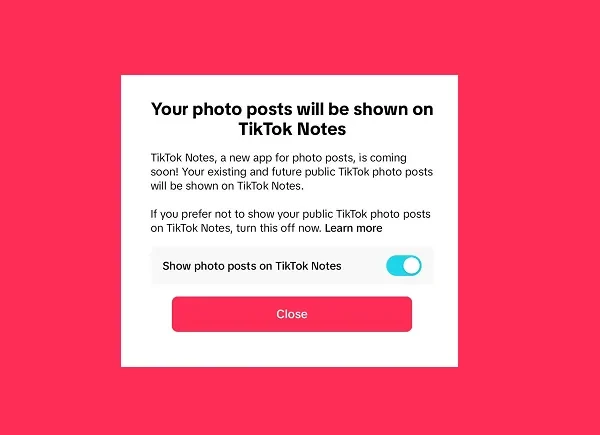 TikTok’s Picture App Strikes a Step Nearer to Actuality