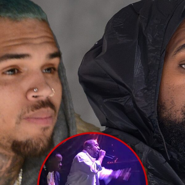 Chris Brown Rips Unnamed Rapper For Membership Rant, Followers Assume it is…