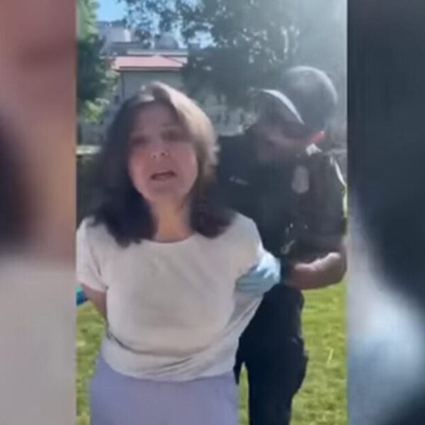 Oops: Emory College Professor Admits to Hitting Police Officer Earlier than She…