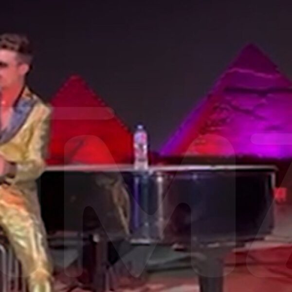 Robin Thicke Performs for Lavish Marriage ceremony at Base of Pyramids in…