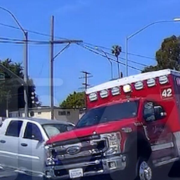 Truck Slams Into Ambulance Carrying Sufferers, Wild Video Reveals