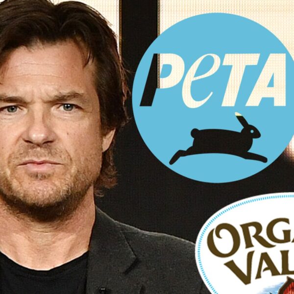 Jason Bateman Slammed by PETA for Promoting Dairy Firm on Podcast