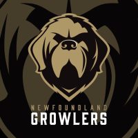Wanting Again on the ECHL’s Newfoundland Growlers – SportsLogos.Web Information