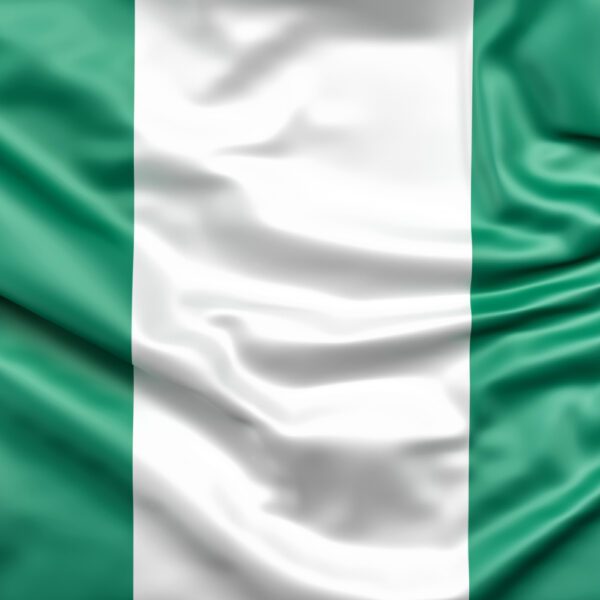 Nigerian Blockchain Committee Warns Of Impact