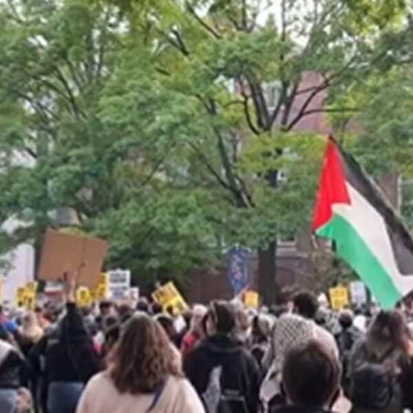 Republican Introduces Bill That Would Send Anti-Israel Campus Protesters to Gaza for…