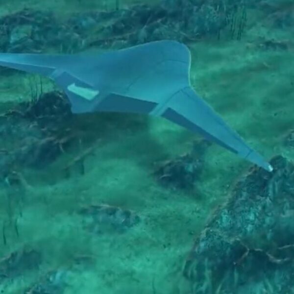 Pentagon Contractor Completes Manta Ray Underwater Drone Prototype | The Gateway Pundit