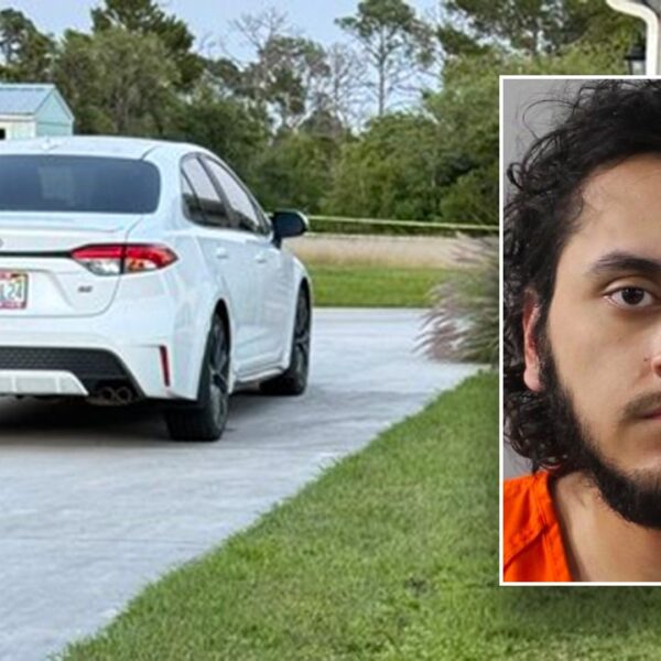 Florida pre-med scholar admits to stabbing his mom to dying: ‘Inexplicable, vicious’