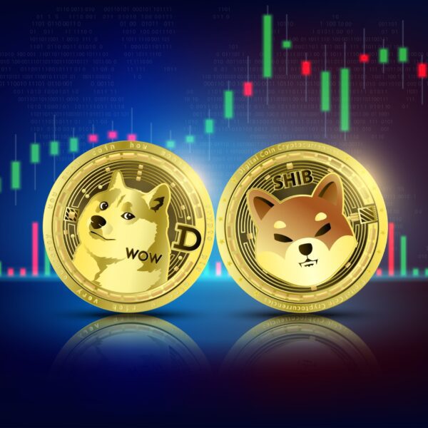 Dogecoin & Co. See Large Inflow Of Merchants