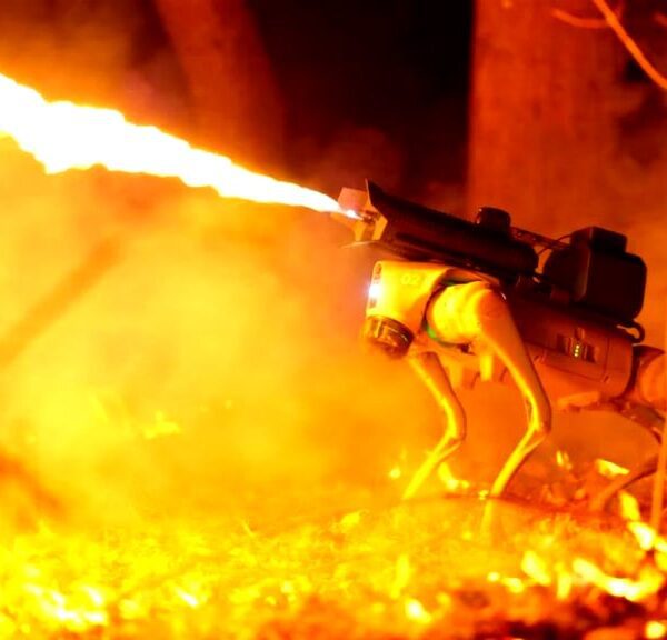Hell Hound: ‘Thermonator’ Robotic Canine Comes Outfitted With Flamethrower – ‘Man’s Finest…