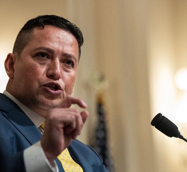 Tony Gonzales Wins Runoff, Bolstering G.O.P. Effort to Hold House