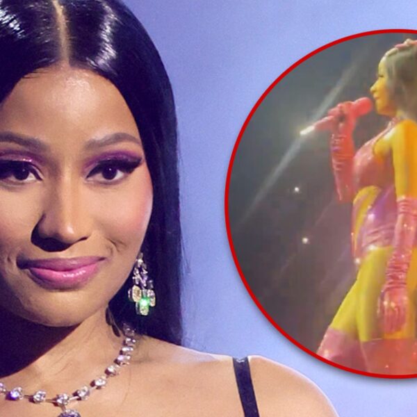 Nicki Minaj Seems to Address Police Incident During Birmingham Concert