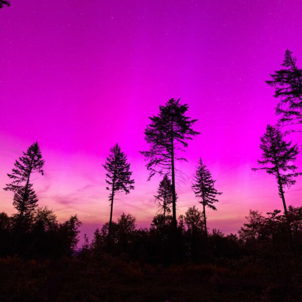 The aurora borealis in photos
