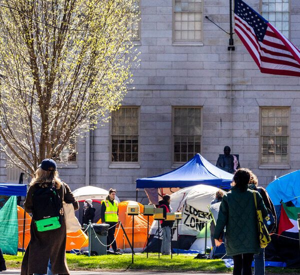 Harvard Reaches Agreement With Protesters to End Encampment