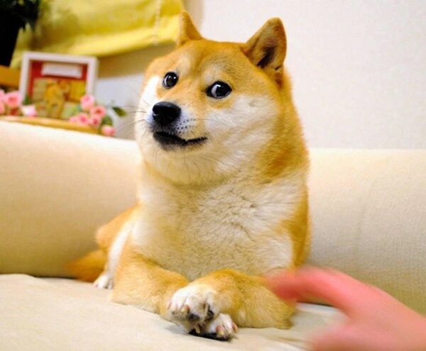 Goodbye Kabosu: Dogecoin’s Beloved Shiba Inu Mascot Passes Away