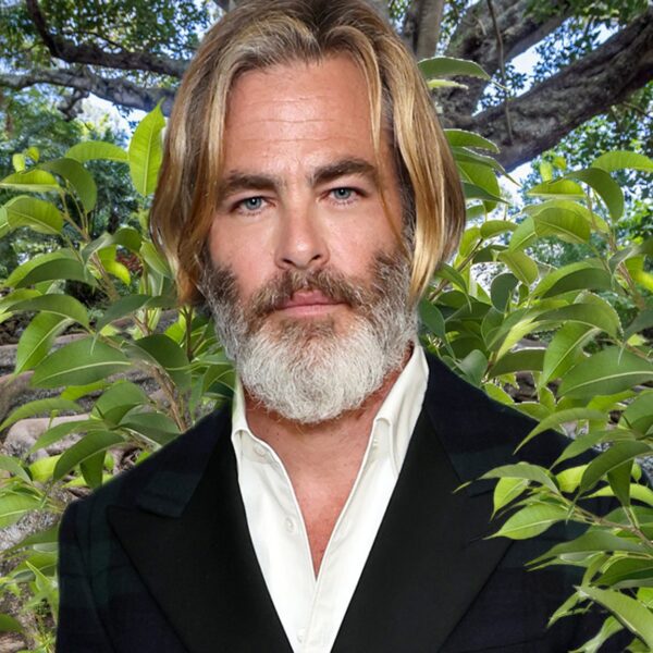 Chris Pine at Struggle with His Neighbor Over Ficus Timber