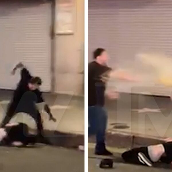 Man Beaten Senseless in Streets of L.A., Brutal Assault Caught on Video