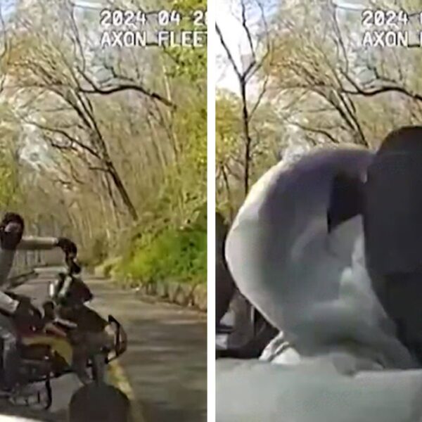 ATV Crashes Into Police Cruiser After Cop Intentionally Blocks Path