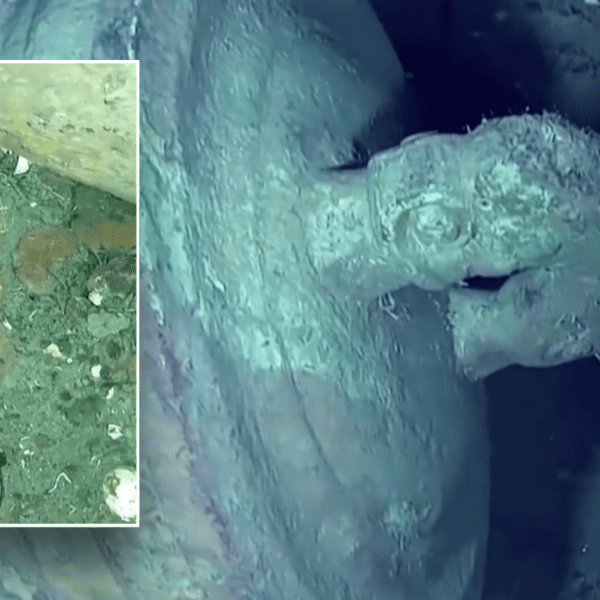 Expedition to Colombia’s San José shipwreck begins