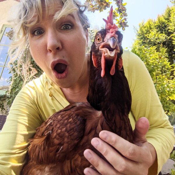 Millennial’s love affair with pet chickens is massive enterprise for a $30…