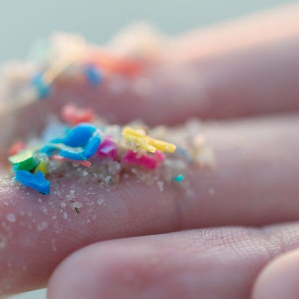 Microplastics are harming our well being. Here’s the way to cut back…
