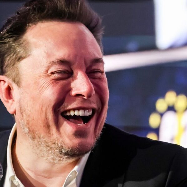 Elon Musk has turned Tesla right into a meme inventory, high economist…