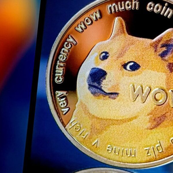 Dog who was the face of Dogecoin dies at 18