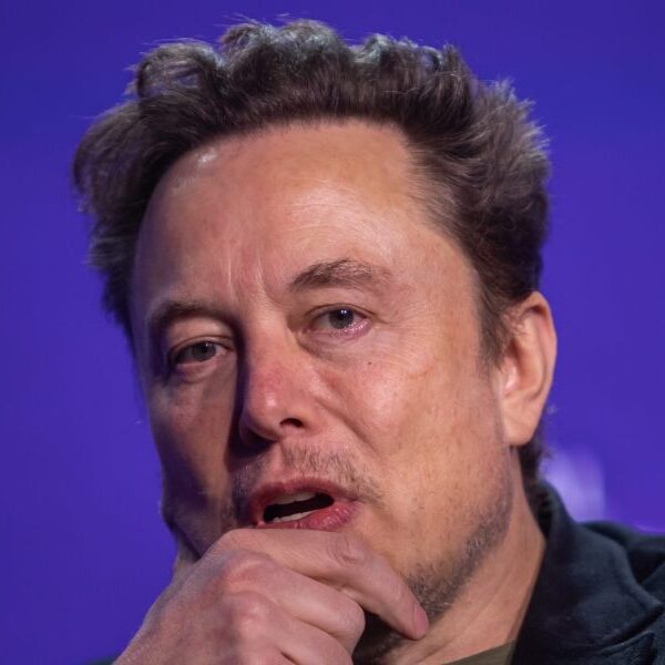 Tesla CEO Elon Musk predicts jobs will develop into hobbies due to…