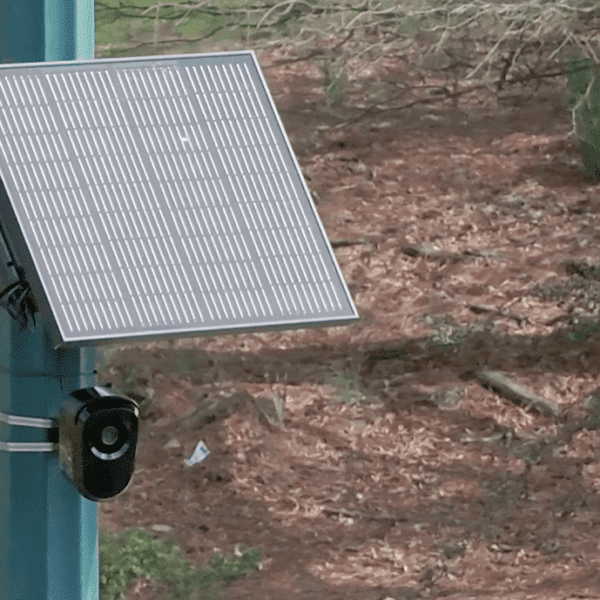 Flock Safety’s solar-powered cameras might make surveilliance extra widespread