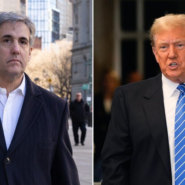 Cross-examination throws Michael Cohen off steadiness, however belabors level that he hates…
