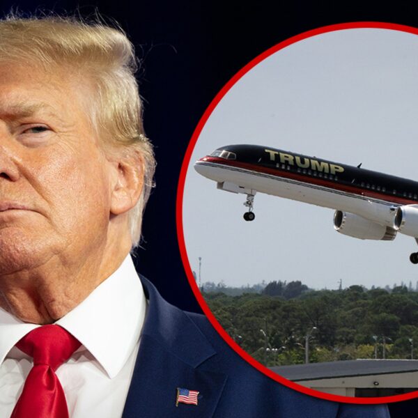 Donald Trump’s Famous Jet Clips Parked Aircraft at Florida Airport