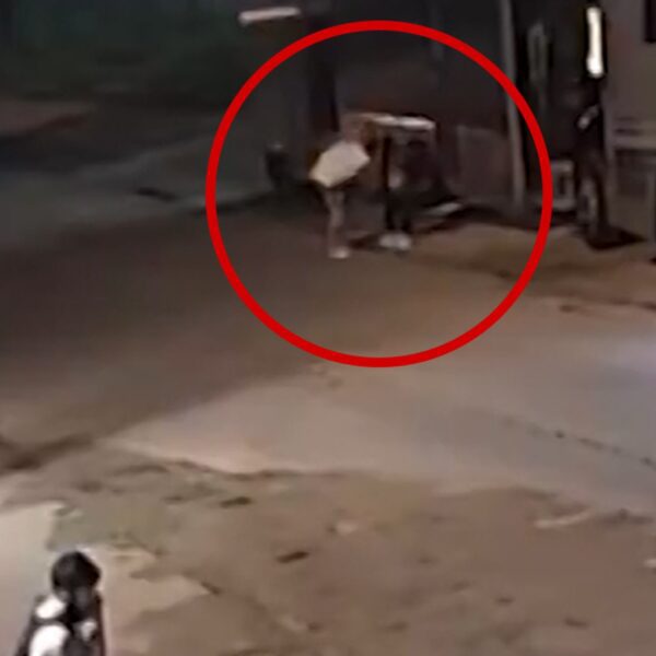 Apathetic Bystander Watches Man Get Robbed at Knifepoint at Taking Back Sunday…