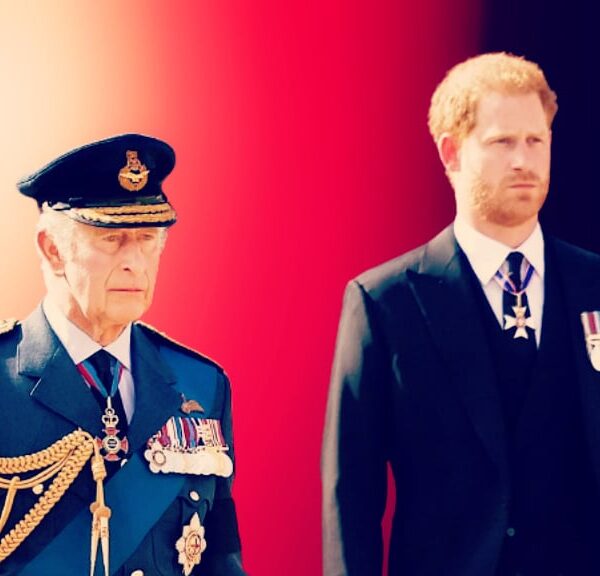 King Charles Snubbed Prince Harry and Decided NOT To Meet Him After…