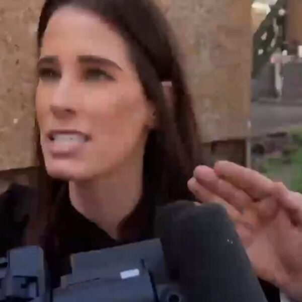 DISGUSTING: Media Animals Physically Violate and Harass Christina Bobb Outside Court Following…