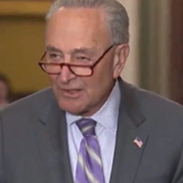 Chuck Schumer Once Again Tries to Pass Sham Border Bill – Gets…